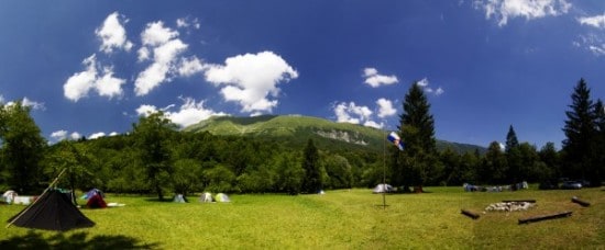 Stezosledci